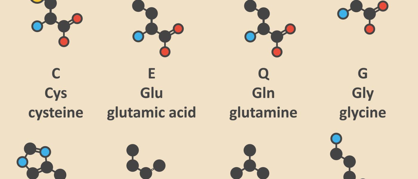 what amino acids make up glutathione Top Benefits of Amino Acids (& What They Do)