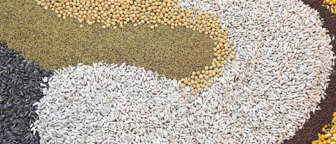 Seed Cycling: Using Essential Fatty Acids and Minerals for Hormone Balancing background image
