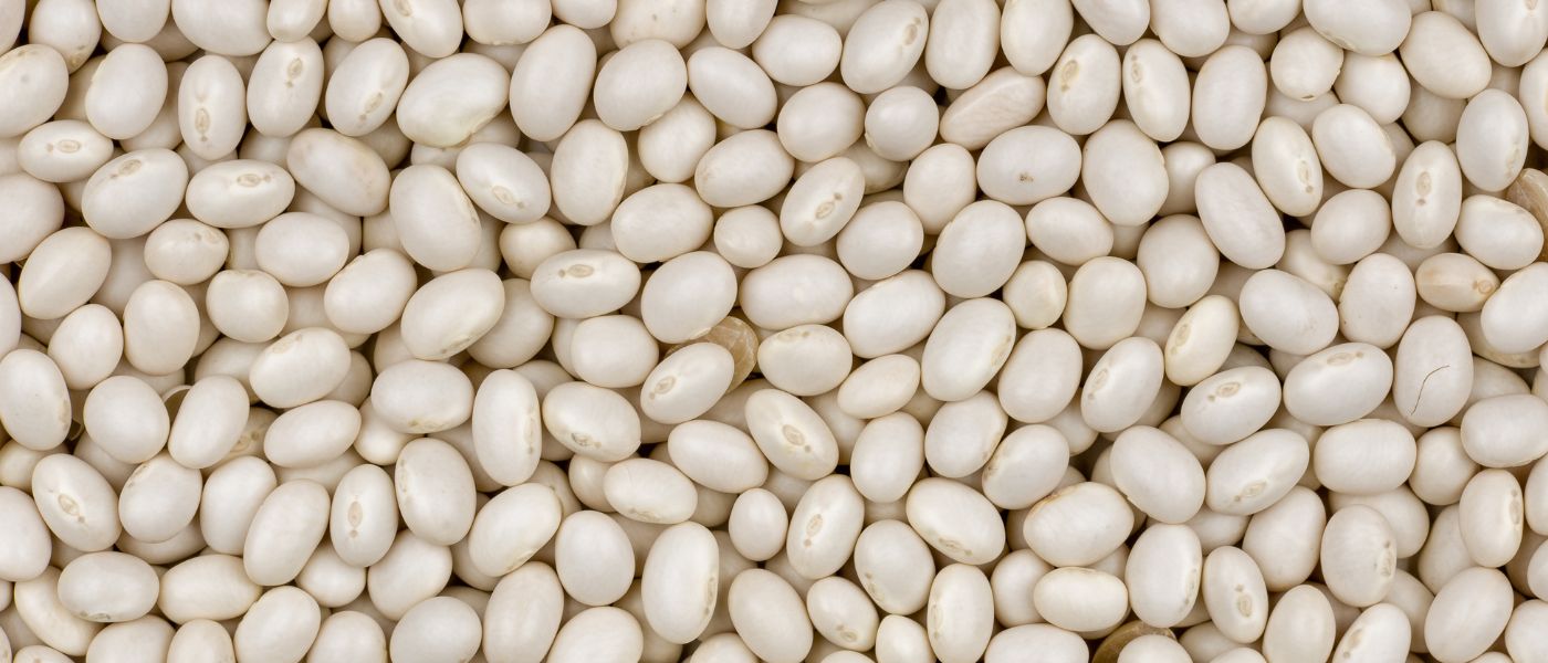 The Best Molybdenum Foods to Neutralize Sulfites and Optimize Detox background image