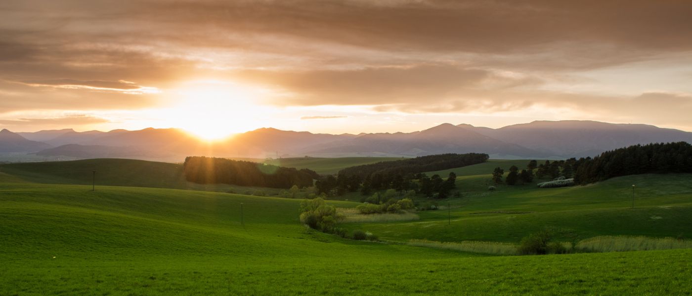 What is the Best Time of Day to Take Supplements? background image