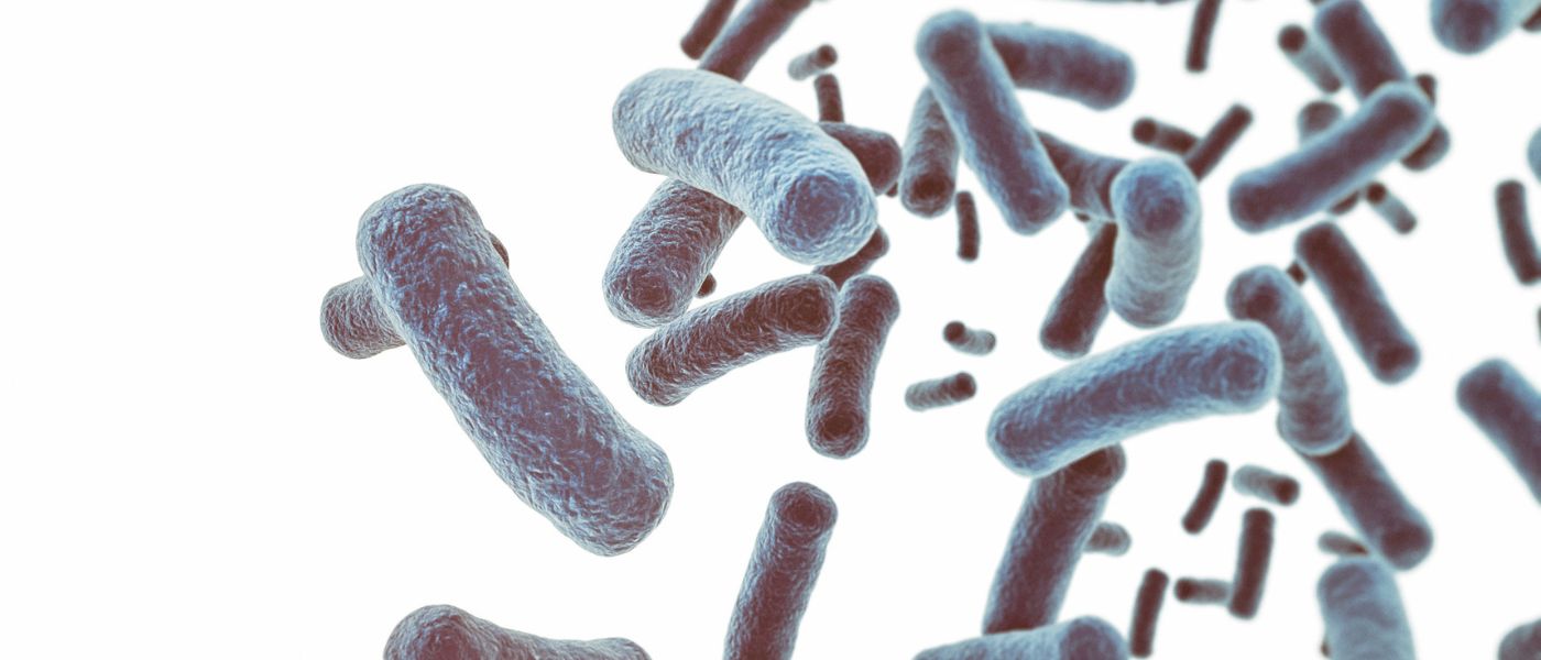 Why We Need to Stop Fearing Microbes background image