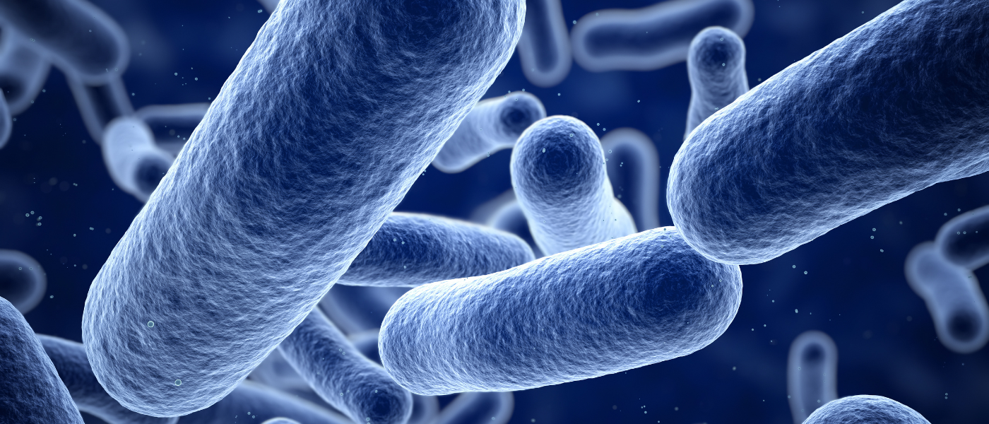 Akkermansia Muciniphila: An Unrecognized Powerhouse Probiotic background image