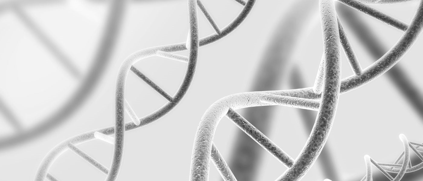 Methylation: The Invisible Process In Charge of Your Gut, Hormone, and Mental Health background image