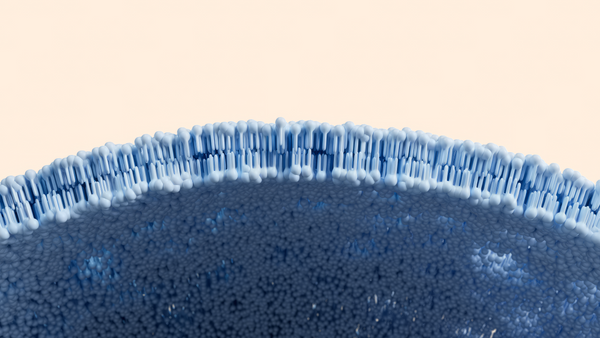 The Importance of the Cell Membrane & Cell Repair