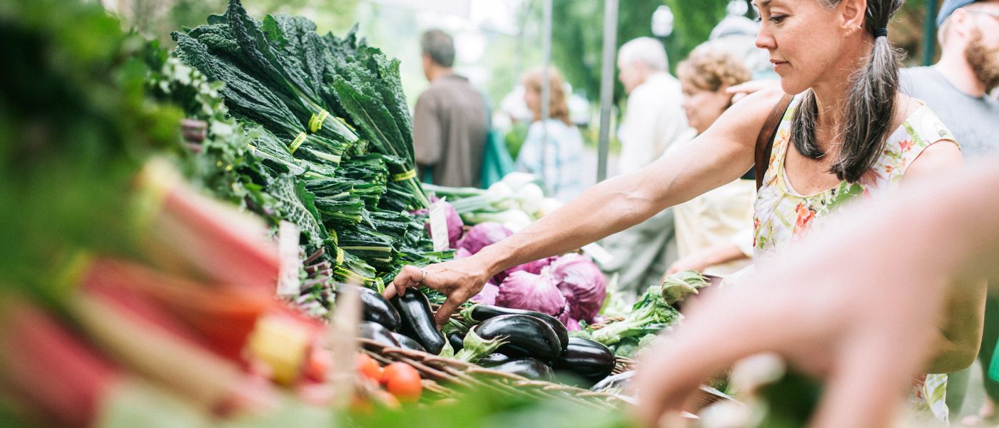 Best Foods for the Gut Microbiome: How to Create an Environment for Healing background image