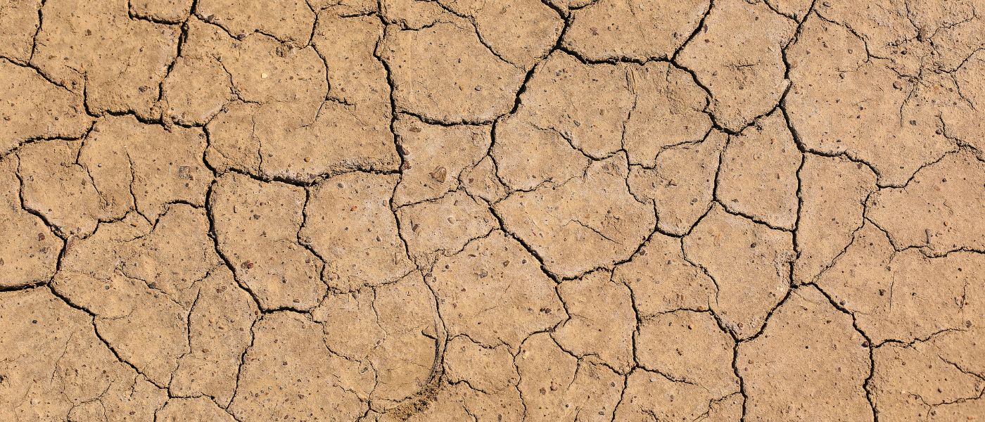 Dehydration from Alcohol: How to Bounce Back from a Hangover (Or Prevent One) background image