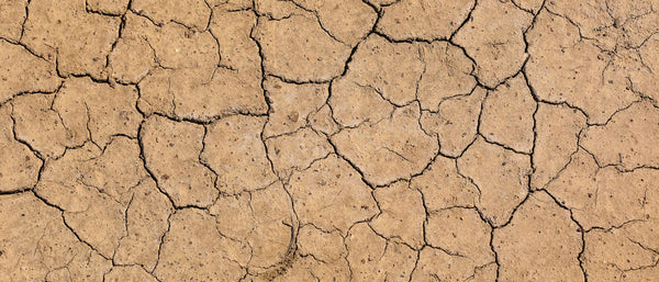 dry cracked dirt
