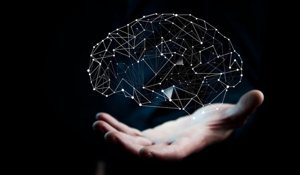 hand holding computerized image of a brain