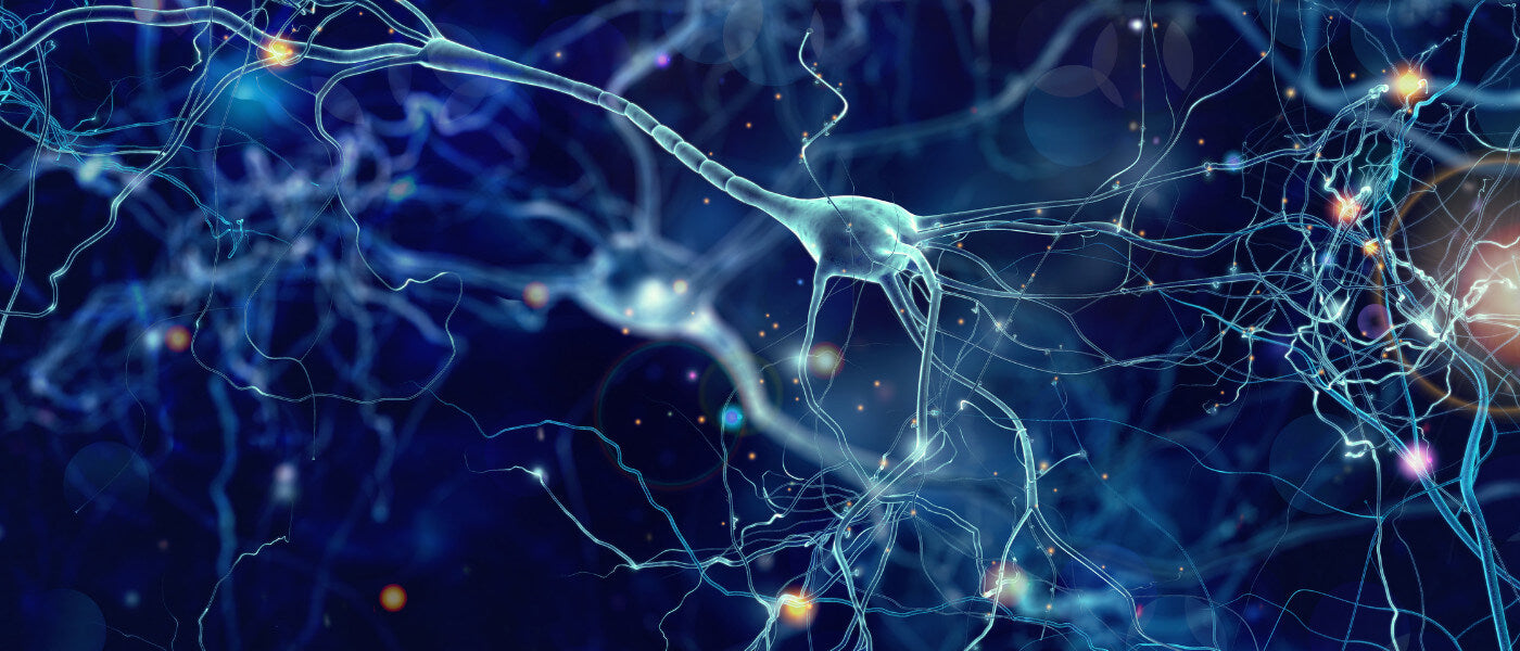 20+ Ways to Keep Your Cells Healthy in 2024 background image