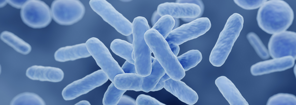 A close-up 3D-rendered illustration of rod-shaped bacteria floating in a blue environment.