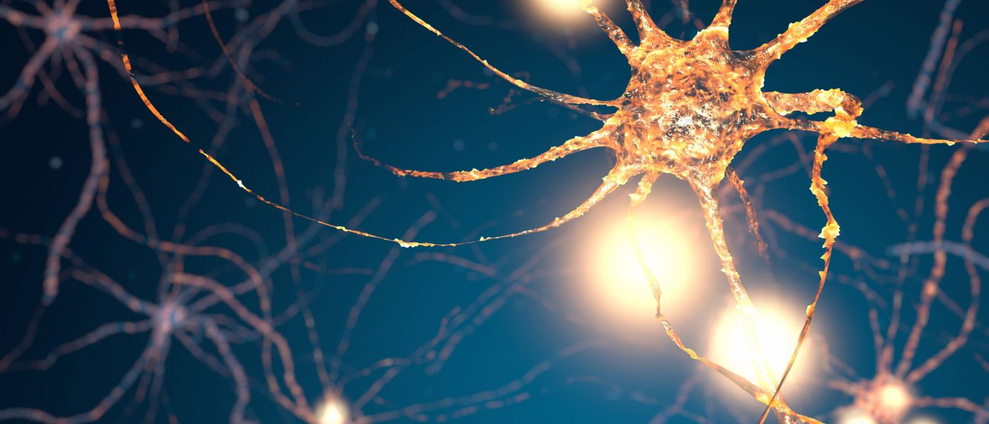 Boost Your Energy, Mood, & Productivity: The Best Science-Backed Supplements for Neurotransmitters background image