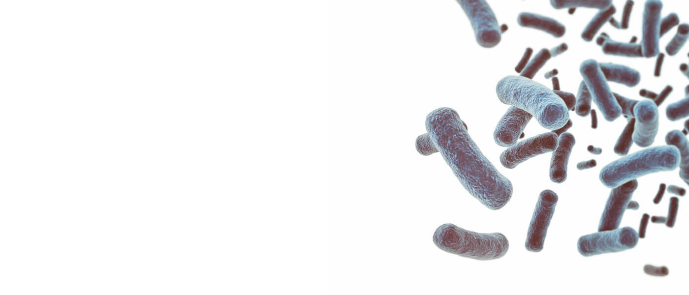 Introducing Postbiotics — The Newest Biotic for Total Microbiome Support background image