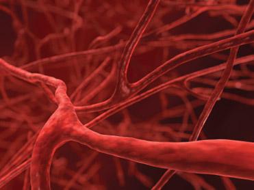 Are New Blood Vessels A Good Thing?