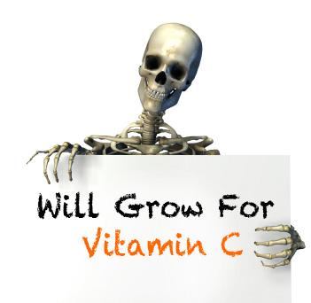 Vitamin C For Bone Health?
