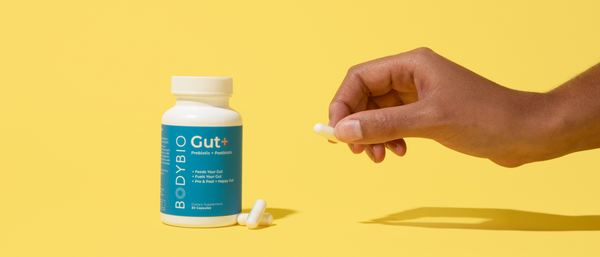 Introducing Gut+: The Powerful Prebiotic + Postbiotic Combo for Total Gut Health