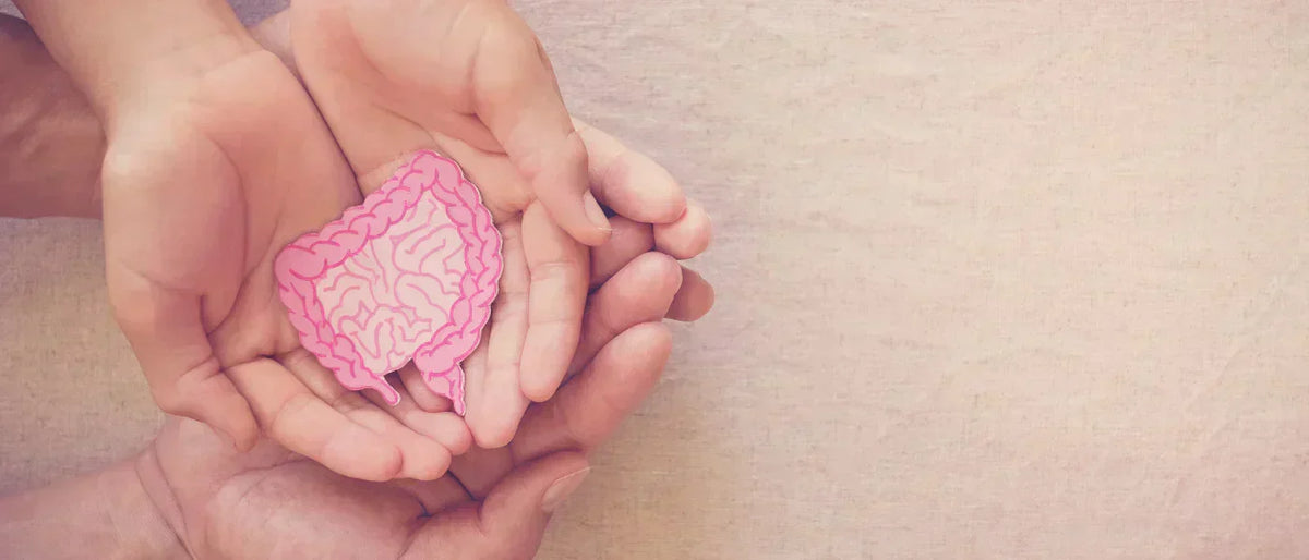 Comprehensive Guide to Butyrate: What it is, Benefits, Side Effects, & More background image