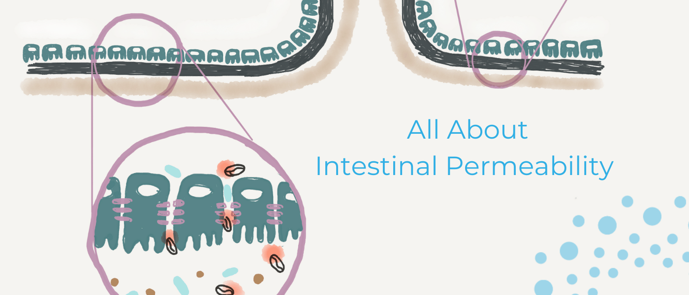 What Is Intestinal Permeability and Leaky Gut and How Can We Heal It? background image