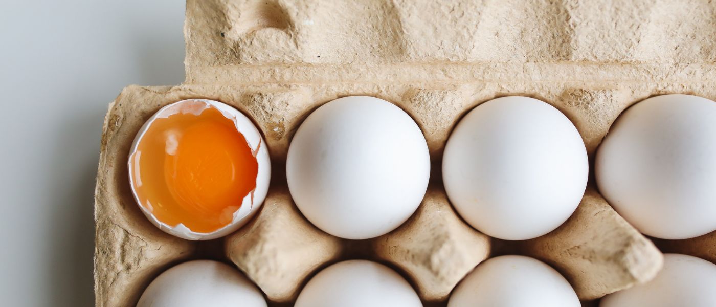 The Benefits of a High Protein Diet and Unpacking Good Quality Protein Sources background image