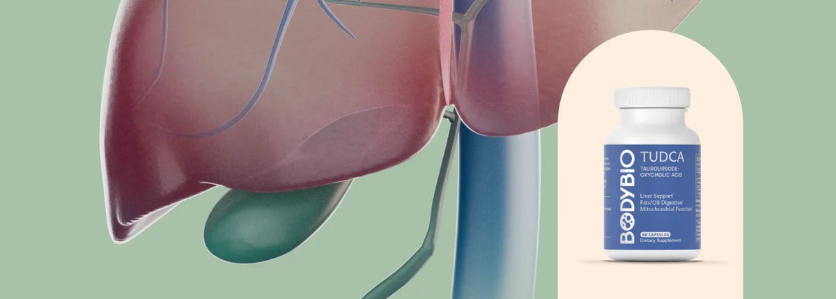 Bile: The Overlooked Player in Gut Health background image