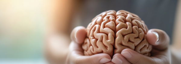 A pair of hands gently holding a realistic brain model, symbolizing mental health, psychology, and cognitive well-being.