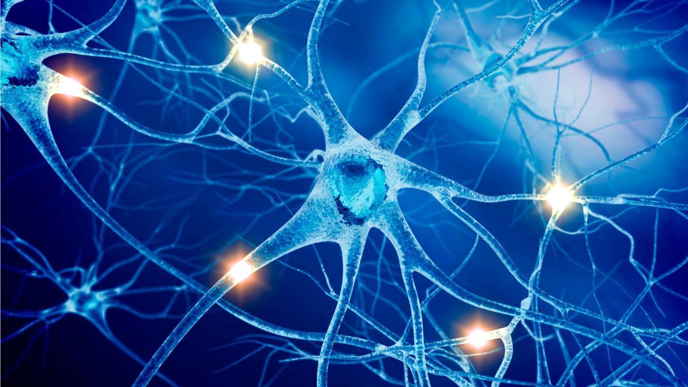 Neuro-Transmission In Overdrive? background image