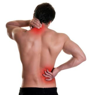 Why Bother Exercising? background image