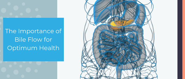 Improve Your Bile Function: The Importance of Bile Flow for Optimal Health