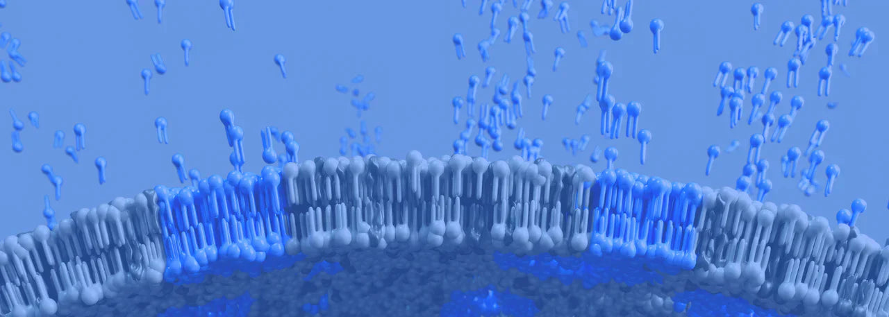 What is Methylene Blue? Cellular Energy and Nootropic Benefits background image