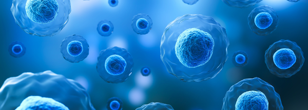 What Is Terrain Theory? A Smarter Way to Think About Detoxification and Whole Body Resilience