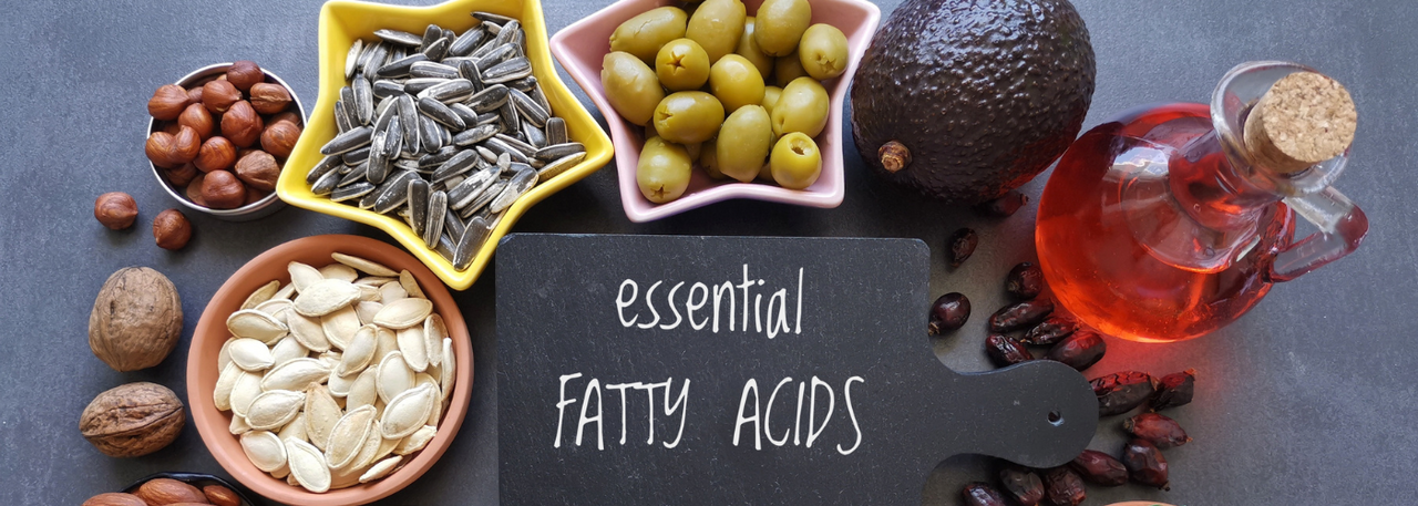 Essential Fatty Acids, Seed Oils, and PPAR-Alpha: Flipping the Genetic Switch for Fat Burning background image