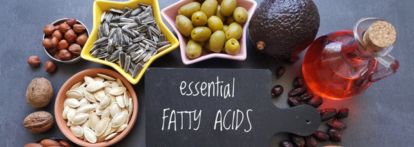 Essential Fatty Acids, Seed Oils, and PPAR-Alpha: Flipping the Genetic Switch for Fat Burning