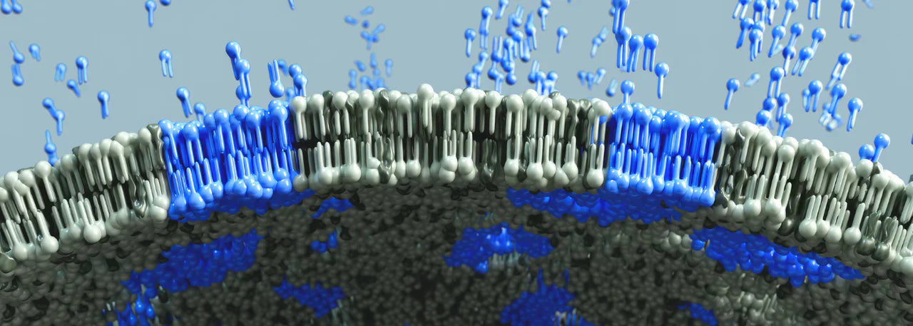 The Missing Link in Longevity: Repair the Cell First, Everything Else Follows background image