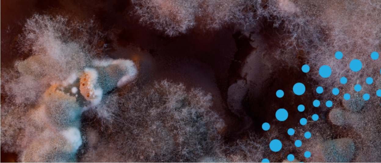 Mold Uncovered: How to Protect Yourself From Mold in Your Food and Home background image