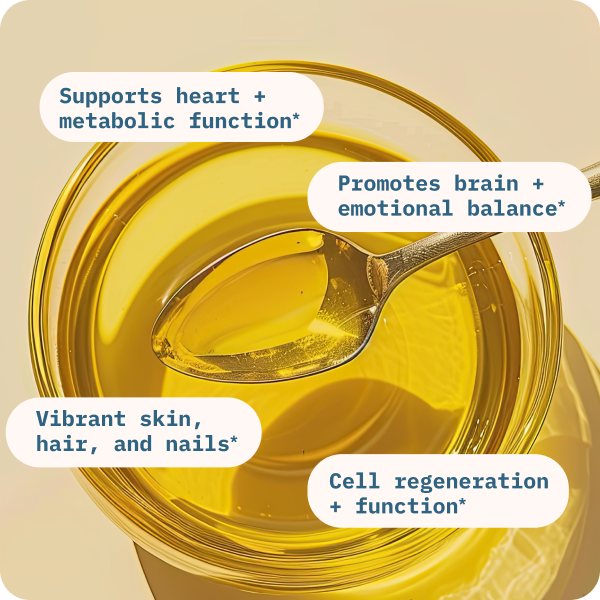 Balance Oil (Omega 6 + 3) image 2