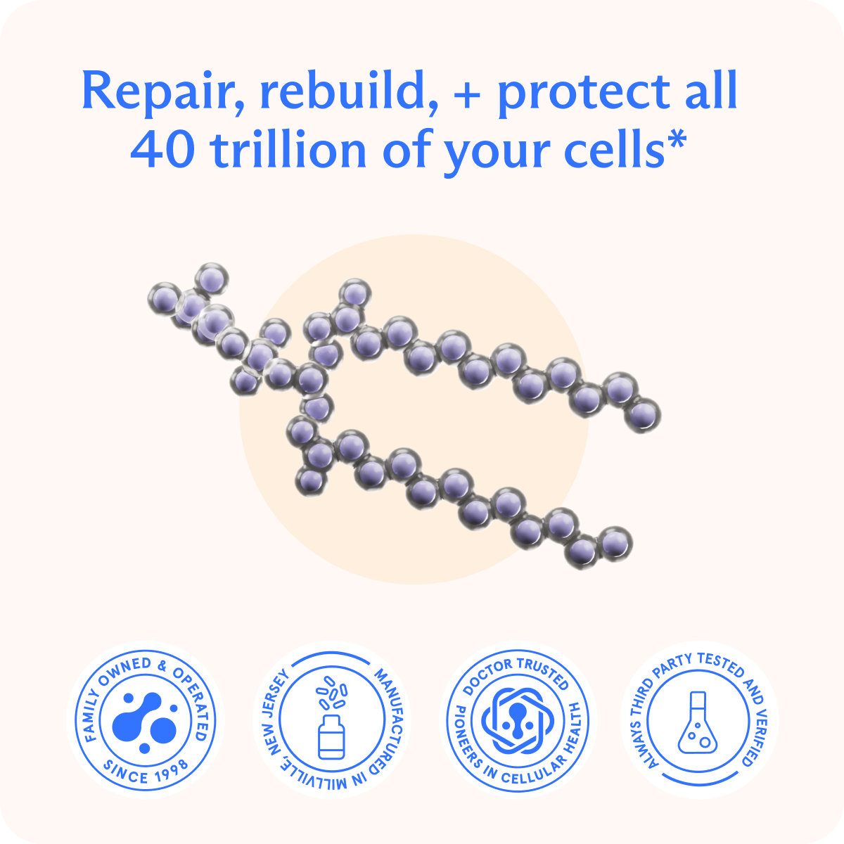 BodyBio PC (Phospholipid Complex)