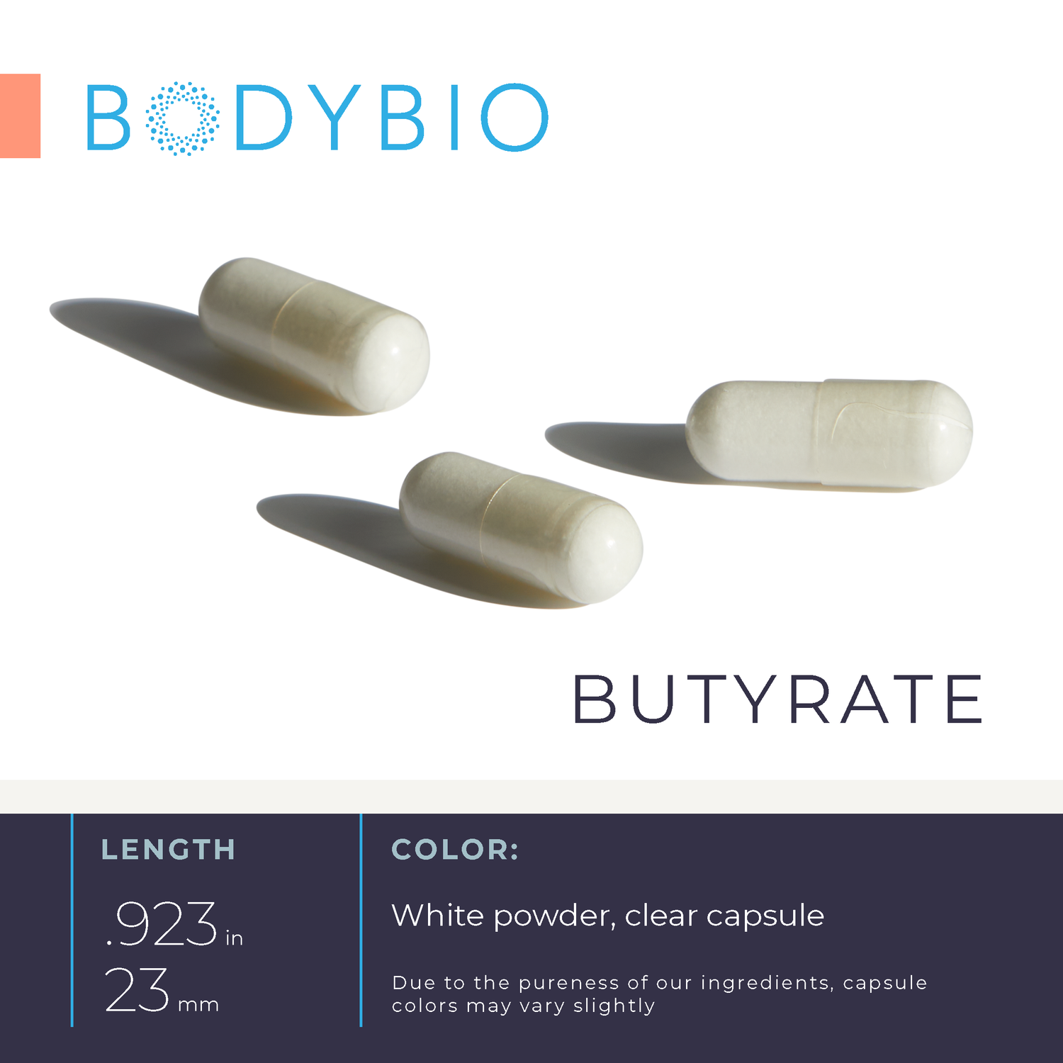 Butyrate : Gut Health Supplement